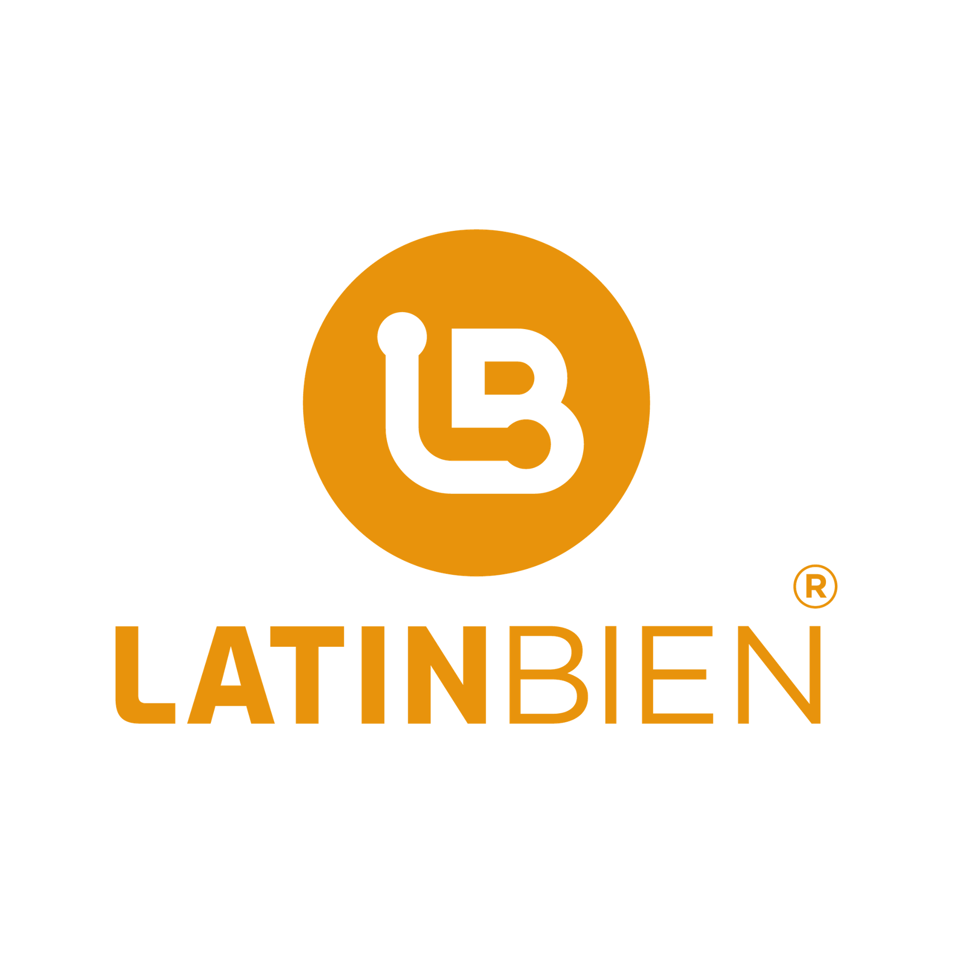 LATINOAMERICANA DE BIENES Y SERVICIOS, C.A.